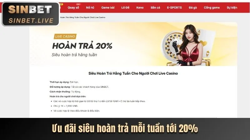 Nhập số tiền và thông tin nạp tiền 1xBet